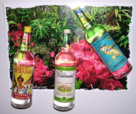 RHUM 3 RIVIERE